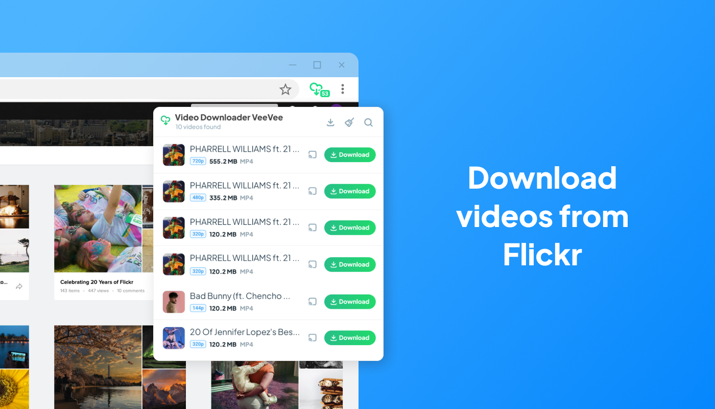 Flickr Video Downloader 1080p Extension