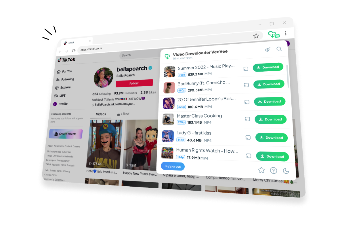 video downloader veevee